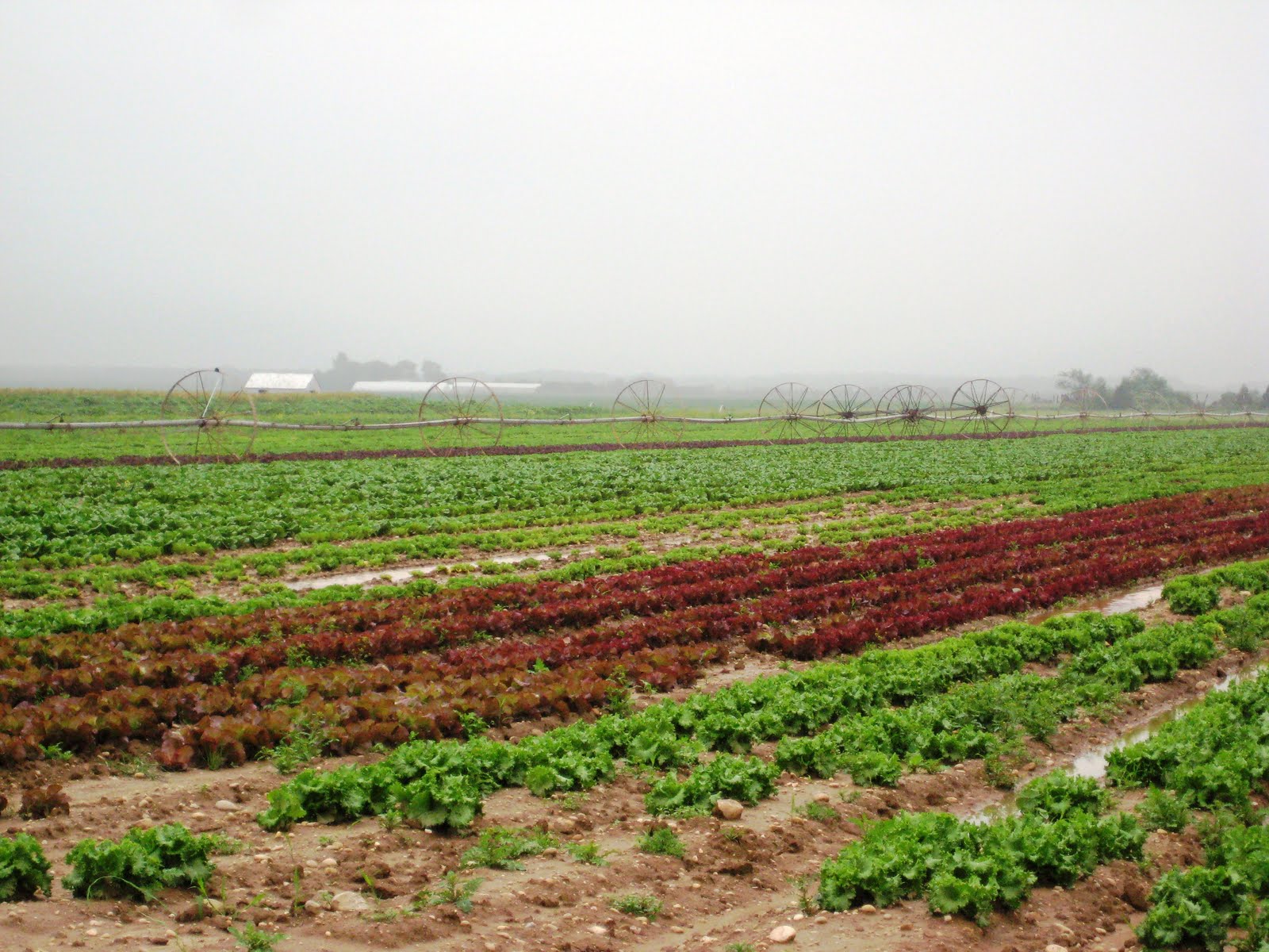 Property Tax Grievance The Heller & Clausen Grievance Group LLC Tax